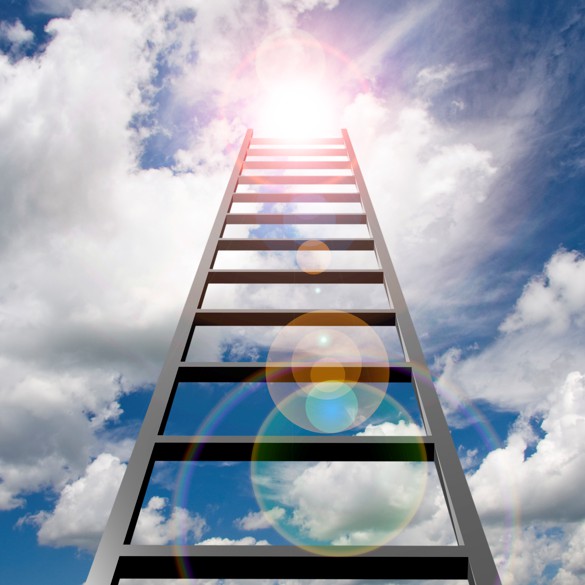 Climbing the corporate ladder Calgary